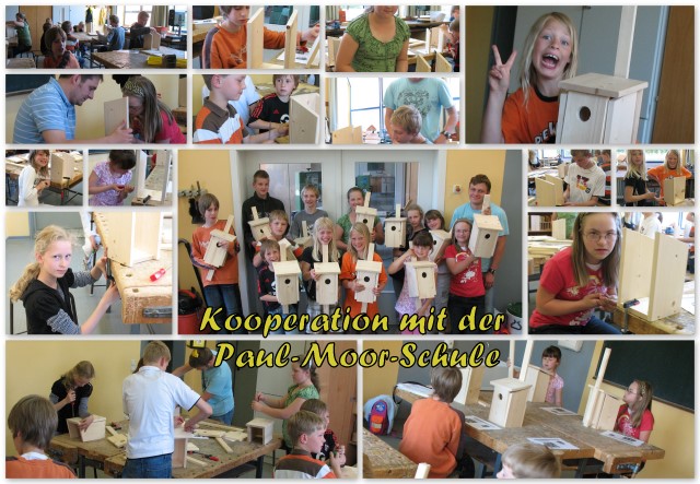 Gemeinsam Höhlenbrüter-Kästen gebaut…