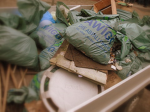 „Halte Deine Umwelt sauber!“ – Alfhauser Schüler, Eltern und Lehrer sammeln Müll in und um Alfhausen
