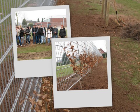 DANKE!: Tolle Pflanzaktion der Klasse 7a der HS Alfhausen!
