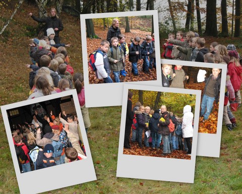Excursion der Klassen 3a und 3b mit der Biologischen Station Haseniederung in den Herbstwald