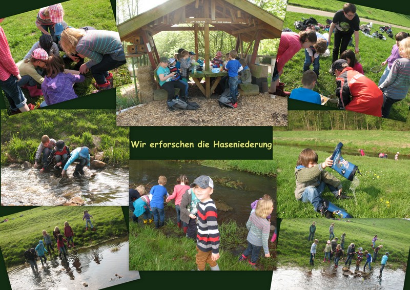 Die zweiten Klassen untersuchen das Leben im Bach