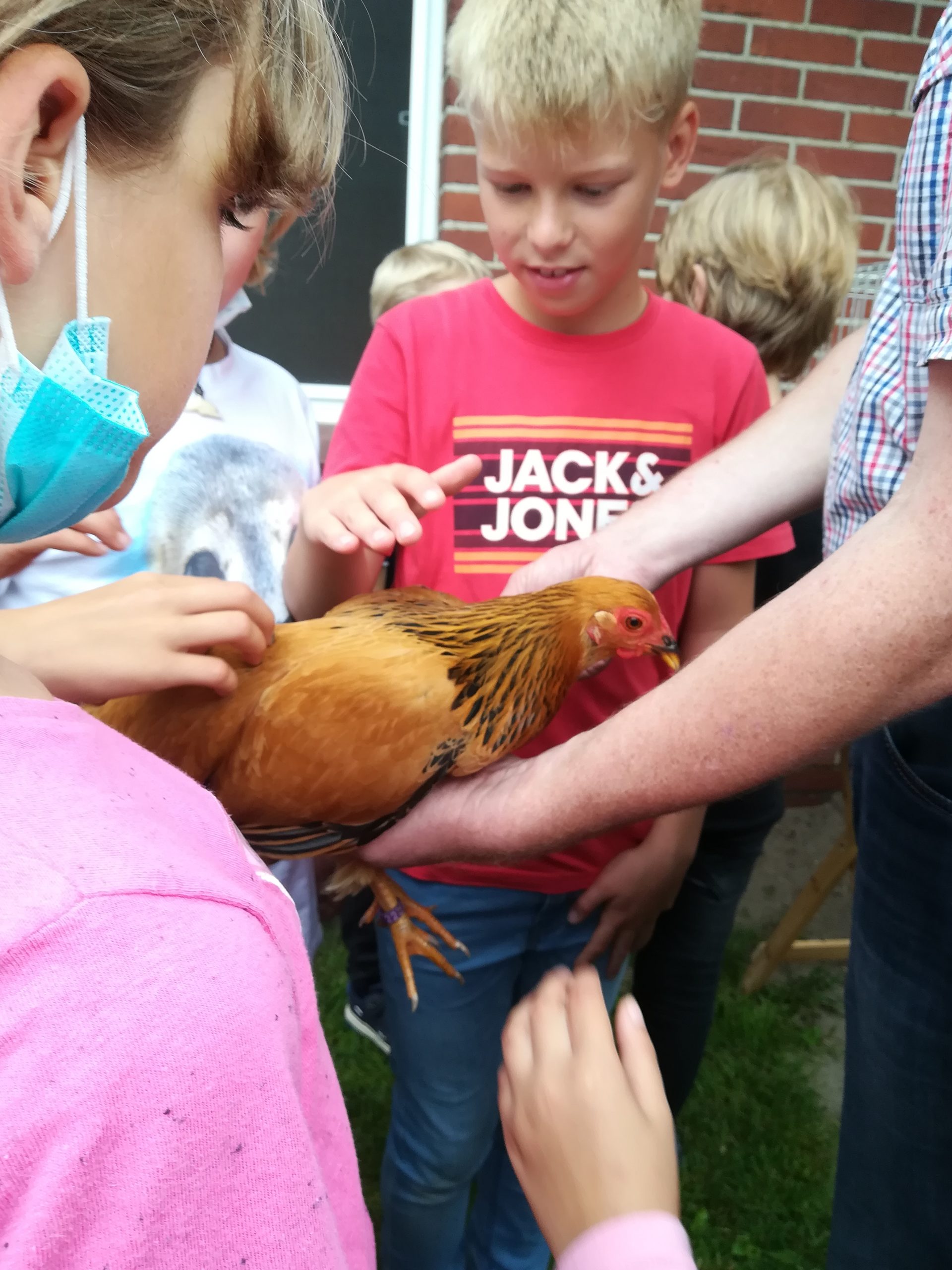 Besuch auf dem „Hühnerhof“